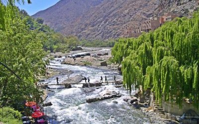 Excursión de un día desde Marrakech al Valle de Ourika